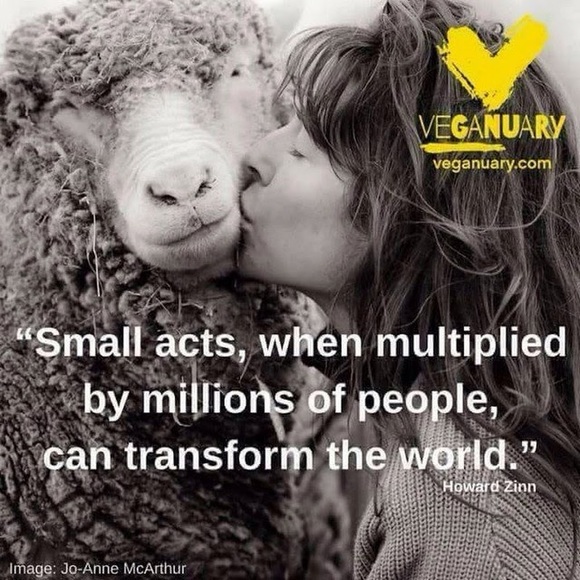 Meet your Posher, Donna - Picture 1 of 1